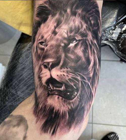 Evolution Tattoo Studio